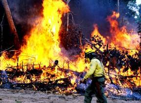 Incêndio atinge terra indígena em MT e destrói vegetação próxima ao Parque Nacional do Xingu - Sandro Vieira