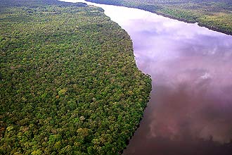 Floresta na região do rio Negro, um dos principais afluentes do Amazonas; área protegida será de 47,5 mil hectares