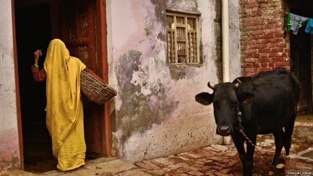 No vilarejo de Kasela, em Uttar Pradesh, limpadores de latrina ainda são considerados intocáveis; na foto, mulher netra em casa do vilarejo pela porto dos fundos para remover excrementos do banheiro  (Foto: Digvijay Singh/BBC)