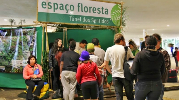 Sentindo a floresta.