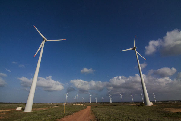 No Rio Grande do Norte, 39 parques eólicos estão parados por falta de linha de transmissão