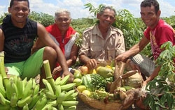 2014 é o ano Internacional da Agricultura Familiar