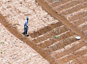 Lavoura em Moçambique; más práticas agrícolas arruinaram cerca de metade do solo superficial na África