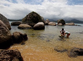 Parque Estadual da Ilha Anchieta terá estudo para desenvolvimento sustentável - Filipe Araújo/AE