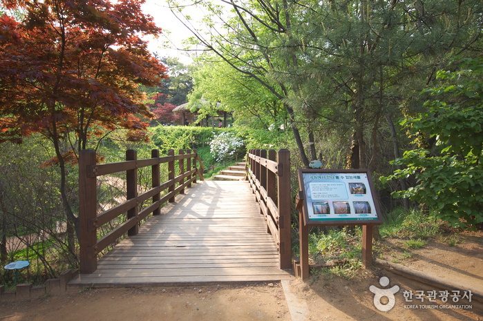 Achasan Mountain Ecological Park (아차산생태공원)