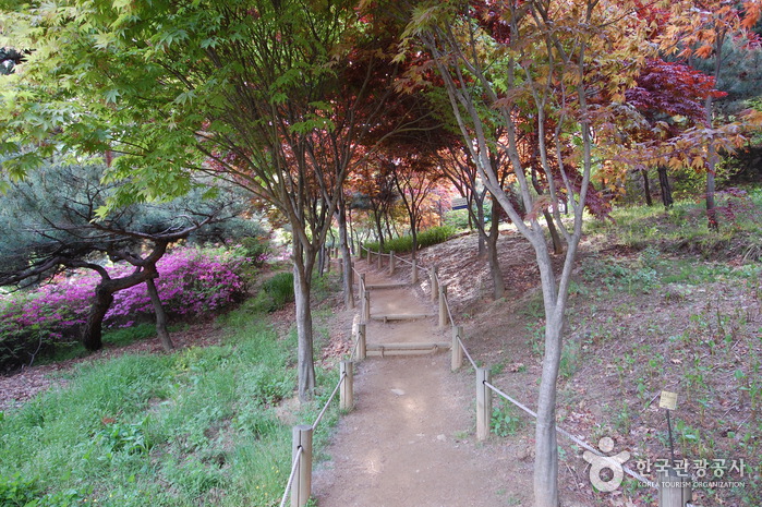 Achasan Mountain Ecological Park (아차산생태공원)