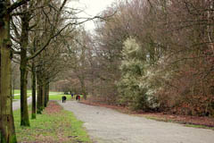 Amsterdamse Bos in early spring