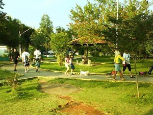 Parque terá apresentações musical e de kung fu nesta sexta-feira (Foto: G1)