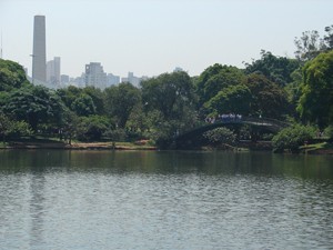 parque_ibirapuera (Foto: Divulgação/SVMA)