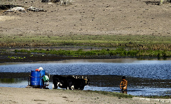 Agricultor toma banho após recolher água para consumo em açúde em Paranatama, no agreste pernambucano