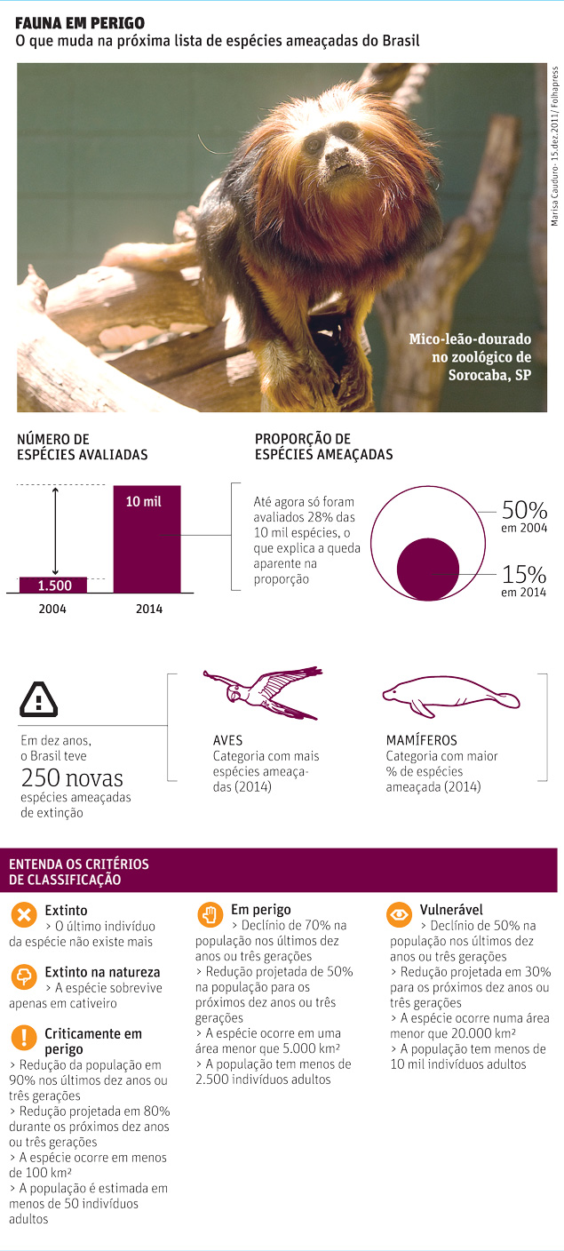 FAUNA EM PERIGO O que muda na próxima lista de espécies ameaçadas do Brasil 