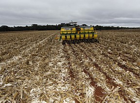 Plantadeira deita sementes sobre a palha: método é a aposta da agricultura brasileira - Epitacio Pessoa/AE