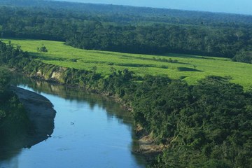 Brasil exige área de proteção ambiental 13 vezes menor que a do Chile