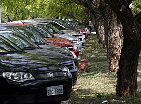 6 mil mudas terão de ser plantadas para compensar - Hélvio Romero/AE