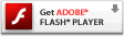 Baixe o Adobe Flash 
 Player