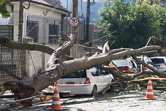 Galho de árvore cai em cima de dois carros e raspa um terceiro na alameda Glete, em Campos Elíseos, em SP